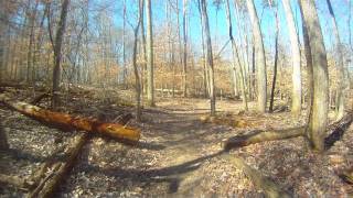 Lakeview Trail - Mountain Biking
