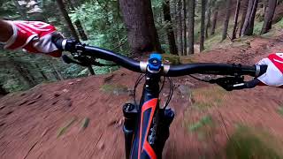 Lavedin Trail - Valle del Vanoi