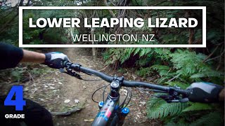 RUTS & ROCKS - Lower Leaping Lizard (Grade...