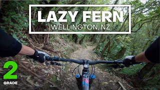 FAMILY CRUISE - Lazy Fern Mountain Bike Trail...