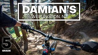 KING OF ROOTS - Damian's Mountain Bike Trail...