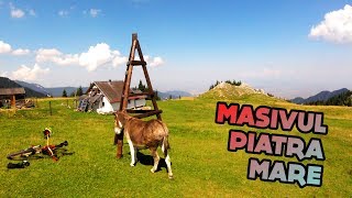 Drumul Familial - PIATRA MARE