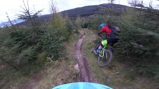 Dunoon mtb 2019 - as tight as you like it trail