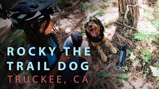 Mountain Biking Donner Lake Rim Trail with...