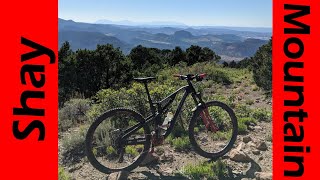 Big Bull Elk! Mountain Biking Shay Mountain...