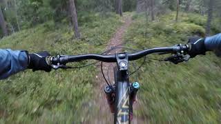 Swedish MTB Trail - Fast and flowy II