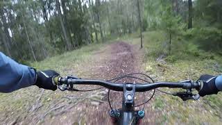 Swedish MTB Trail - Fast and Flowy