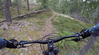 Swedish MTB Trail - Grävlingsbacken