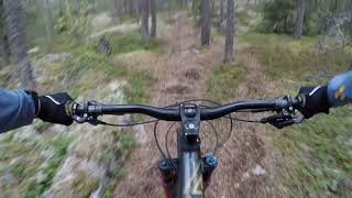 Swedish MTB Trail - Grävlingberget Reversed