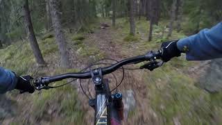 Swedish MTB Trail - Skogsgrävlingen