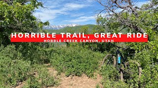 Dry Canyon To Wardsworth Loop