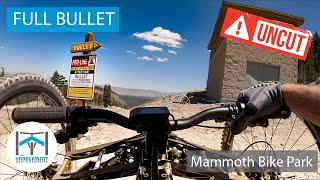 UNP UNCUT - Bullet - Adaptive MTB - Mammoth...