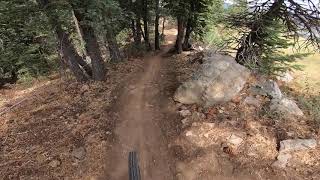 10 Ply after some good rain - Snow Summit Bike...
