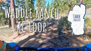 Is this the best short XC loop in Truckee?...