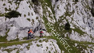 eMtb - Malvueric