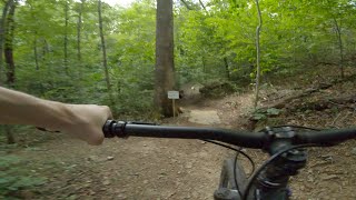 Down and Out | Shawnee State Park