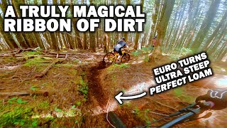 My New Favourite Trail | Earth | MTB