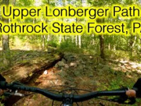 Upper Lonberger Path - Rothrock State Forest, PA