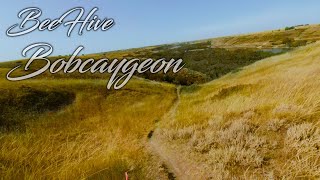 BEEHIVE/BOBCAYGEON, 1st Solo, 2020. (RAW RIDE)...