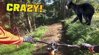 Graham Hills Park - Great Trails in NY (Part 2)