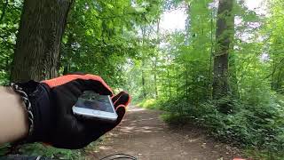 Stadtwald Koblenz MTB Trail 4season-Jumpline