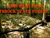 John Wert Path - Rothrock State Forest, PA