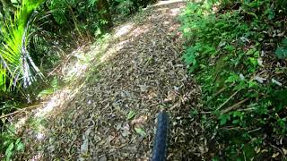 Te Ara o Mahurangi G3 @ Te Apiti Manawatu