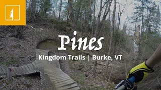 Pines | Kingdom Trails | Burke, VT