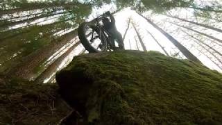 Balquhidder MTB Trails - The HIPPY Singletrack