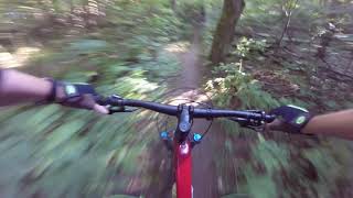 Johnny’s Swamp of Doom! Carrick Tract Trails