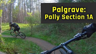 Palgrave - Section 1A
