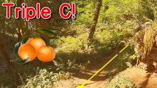 Tillamook Forest Green Trail - Triple C