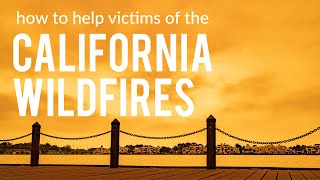 How to help those affected from the 2020 wildfires