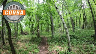 Lowes Creek (Eau Claire, WI) - Red Flint -...