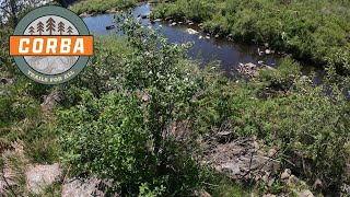 Area 178 (Chippewa Falls, WI) - Swamp Point -...
