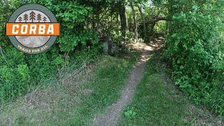 Area 178 (Chippewa Falls, WI) - Oaks - Summer...