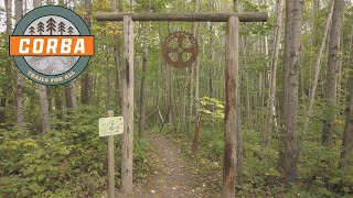 Hickory Ridge (Chippewa County, WI) - Puma...