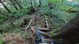 JUNEAU AK'S JANKIEST! NOW WITH LESS WATER!...