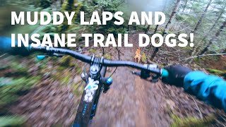 MUDDY LAPS AND INSANE TRAIL DOGS! | Cumberland, BC