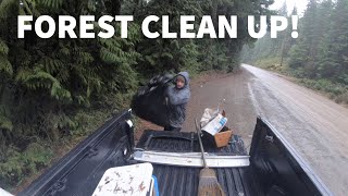 FOREST CLEAN UP