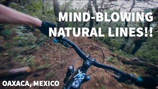 MIND-BLOWING NATURAL LINES!! | Oaxaca, Mexico
