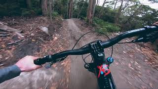 MOUNT VISION- First ride in Tasmania!