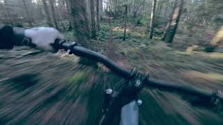 Epic Riding Weather in January?!