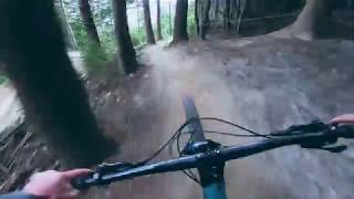 New Zealand Day 1- Tree Slam!