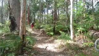 Phoenix Jump Parklands MTB Trails