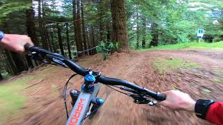 THIS TRAIL IN ROTORUA, NZ IS AMAZING!!!