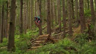 Big Jumps in Port Renfrew