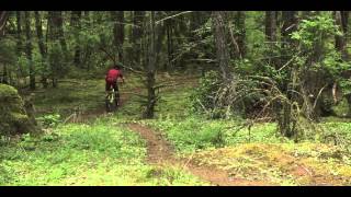 Mark Matthews- Rebuilt
