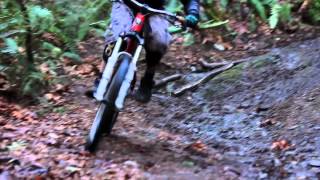 Mark Matthews: Winter Days