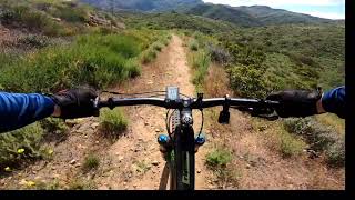 Sage Trail DH (Hyper Speed) 22Mar2020